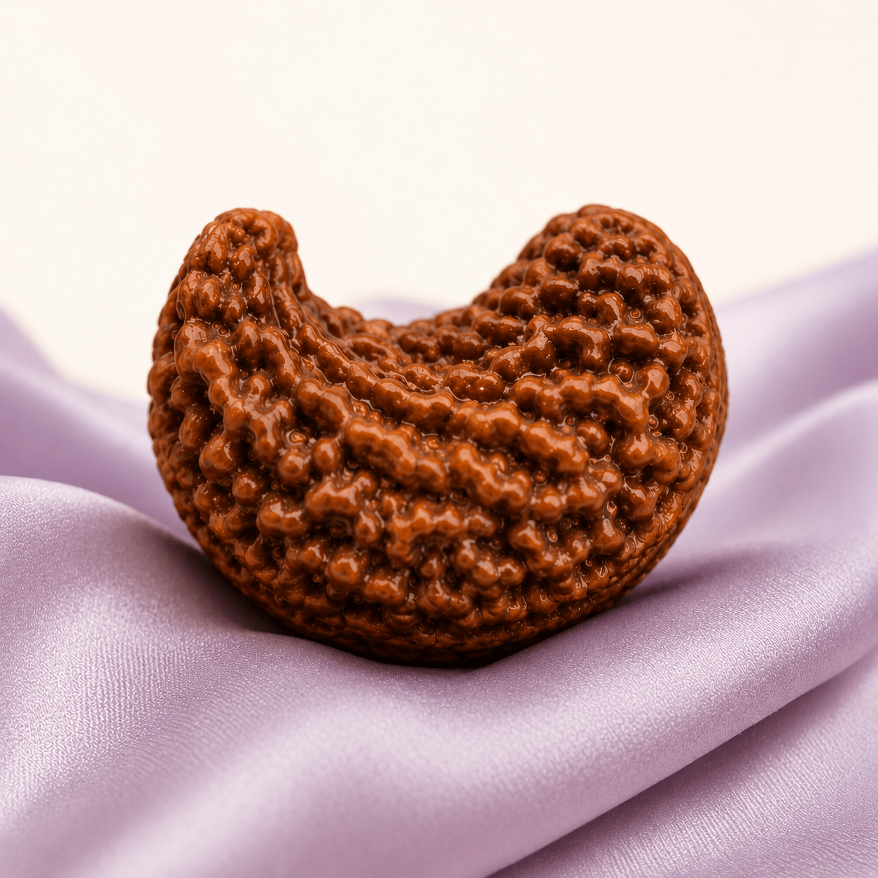 1 Mukhi Kaju Rudraksha - Astrosaras