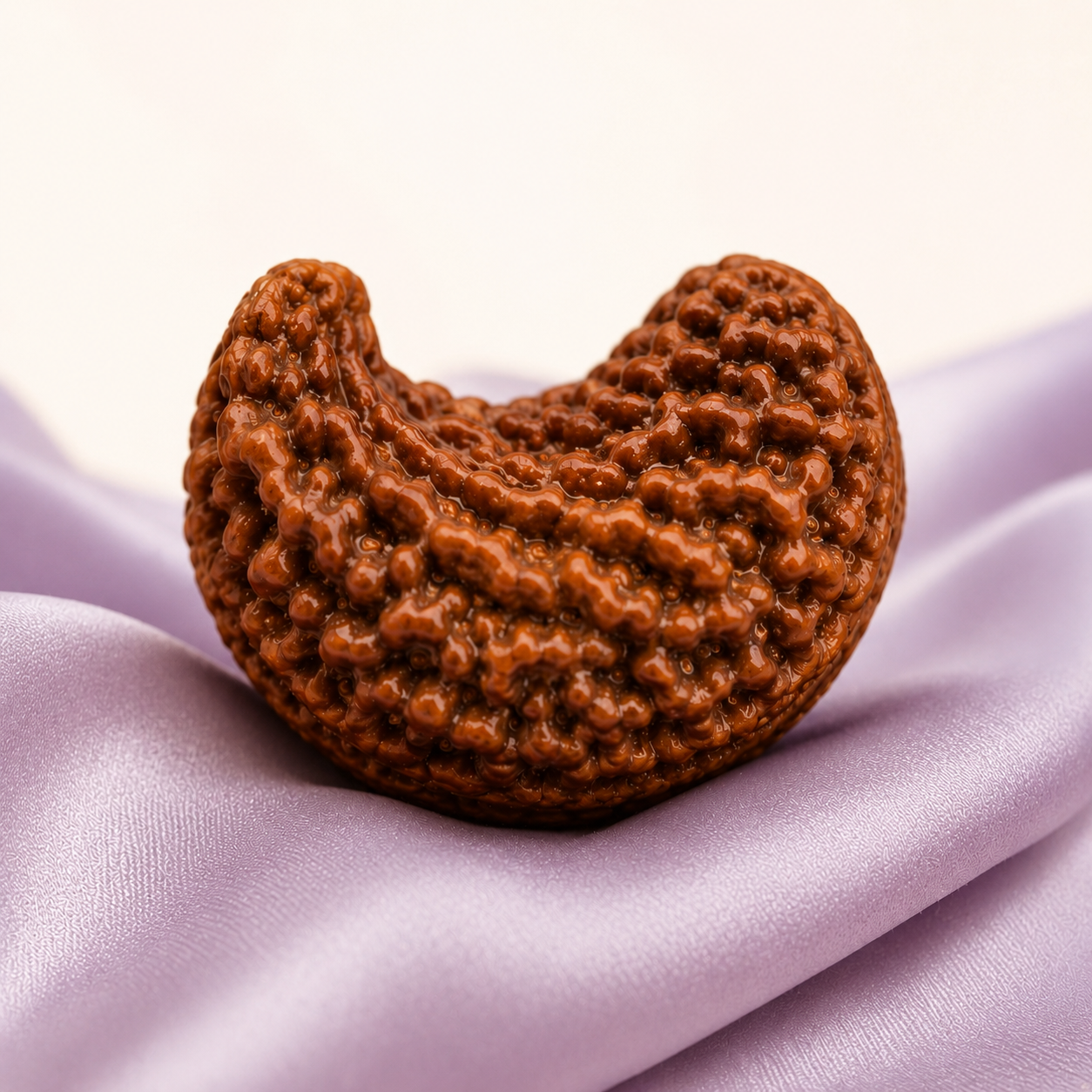 1 Mukhi Kaju Rudraksha - rare cashew-shaped sacred bead