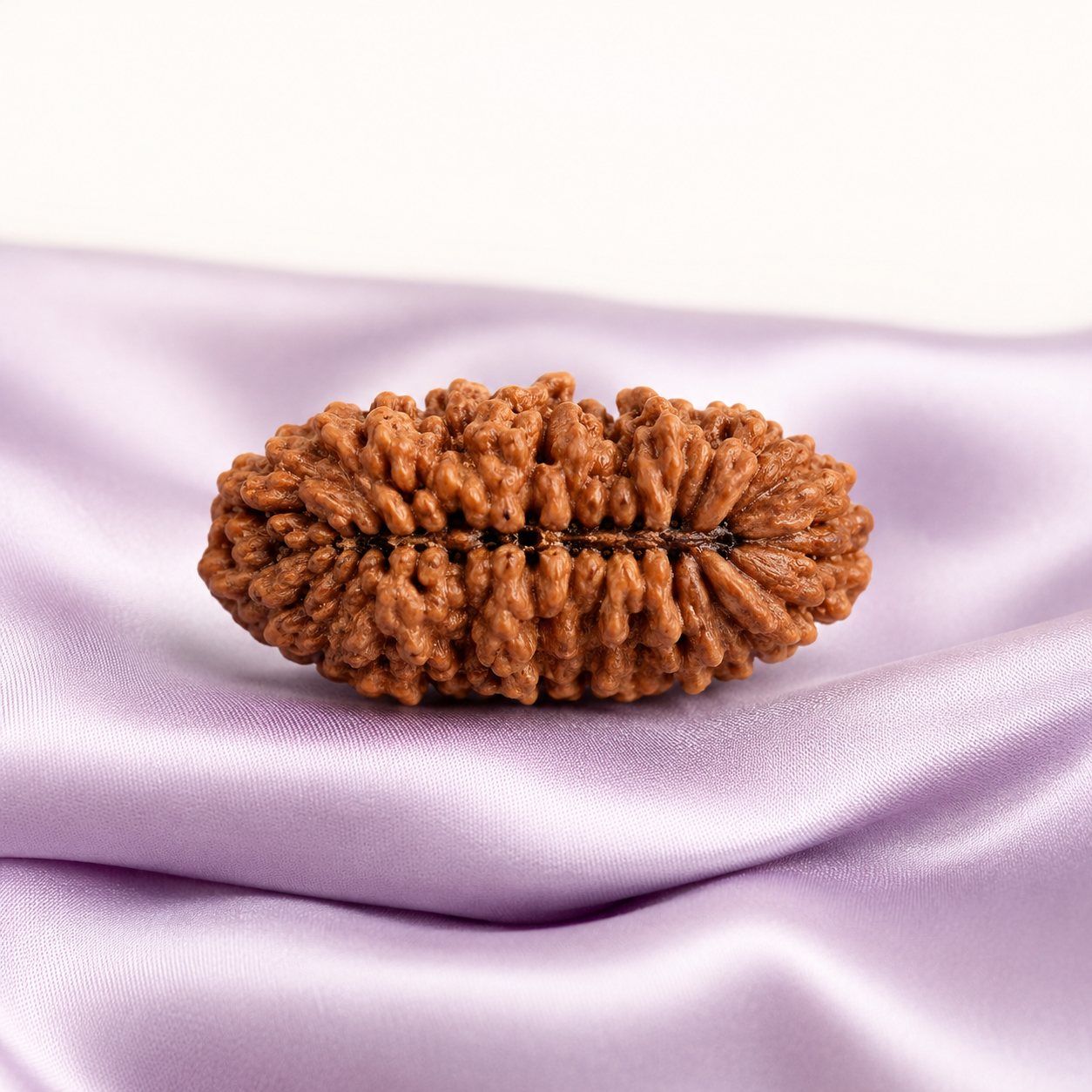 1 Mukhi Rudraksha