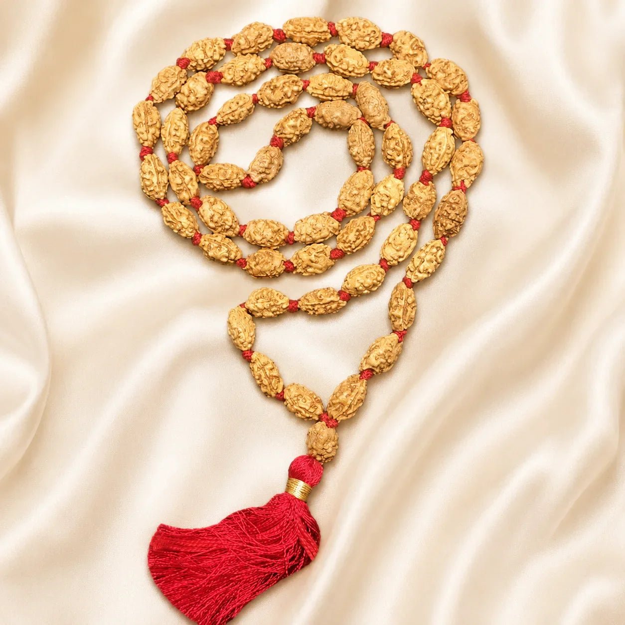 2 Mukhi Rudraksh Mala (54 Beads) Indonesian - Astrosaras