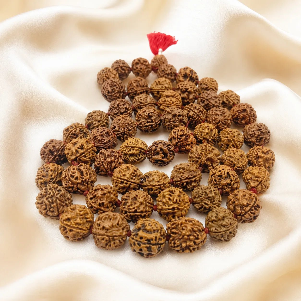 4 Mukhi Rudraksh 54 Beads Mala (Nepali) - Astrosaras