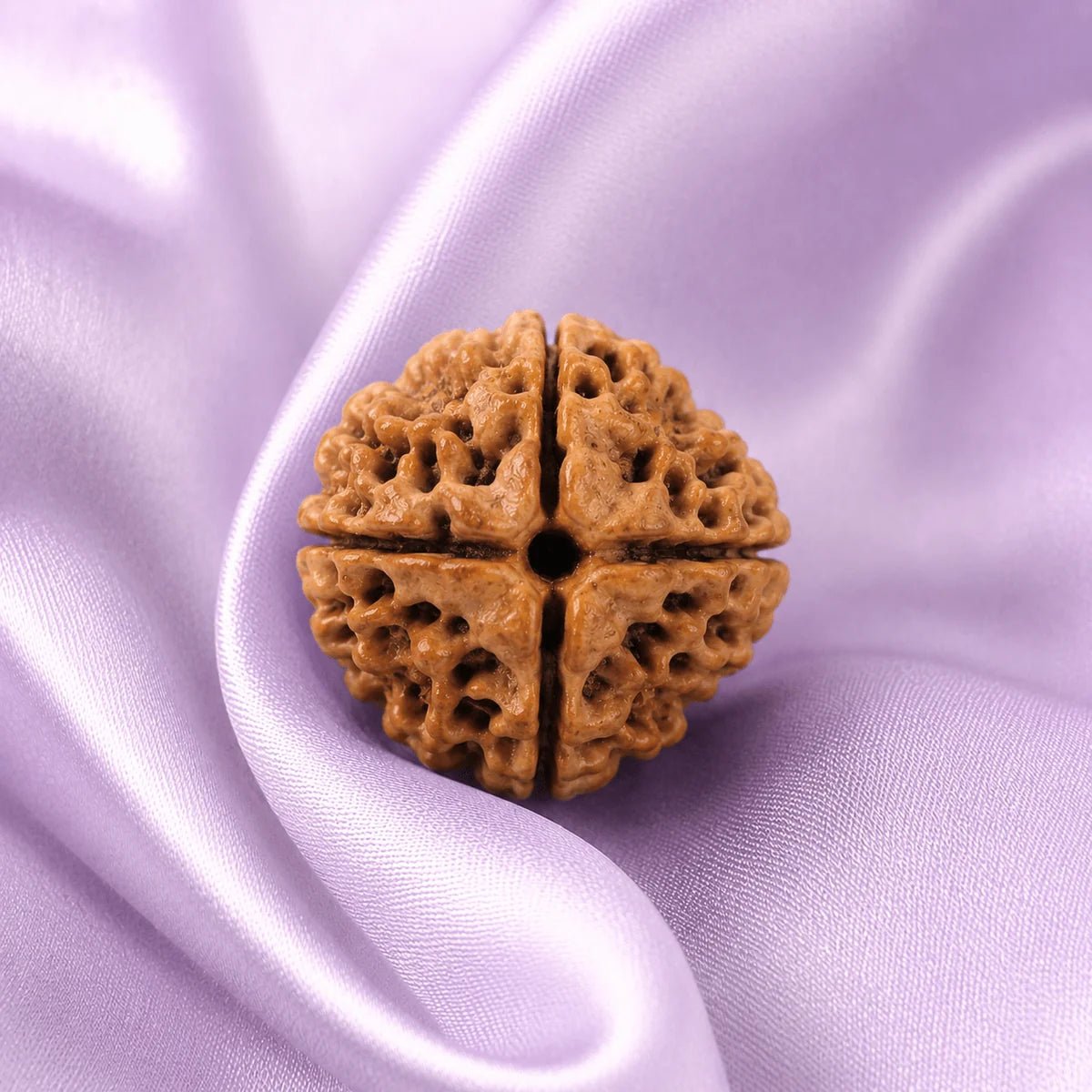4 Mukhi Rudraksha (Nepali) - Astrosaras