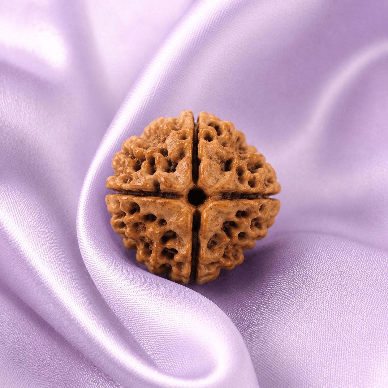 4 Mukhi Rudraksha (Nepali) - Astrosaras