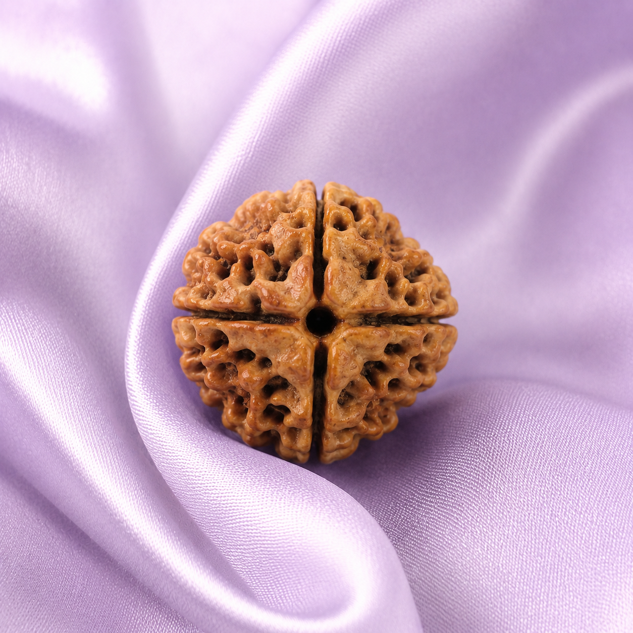 4 Mukhi Rudraksha