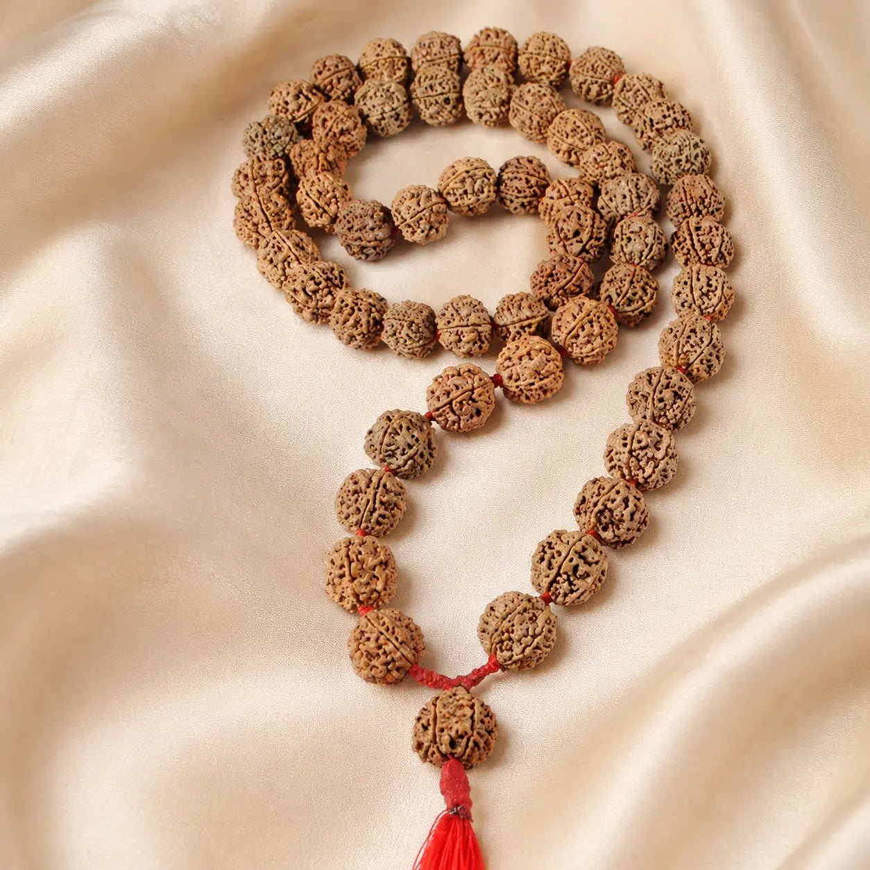 5 Mukhi Rudraksh Mala 54 Beads - Astrosaras