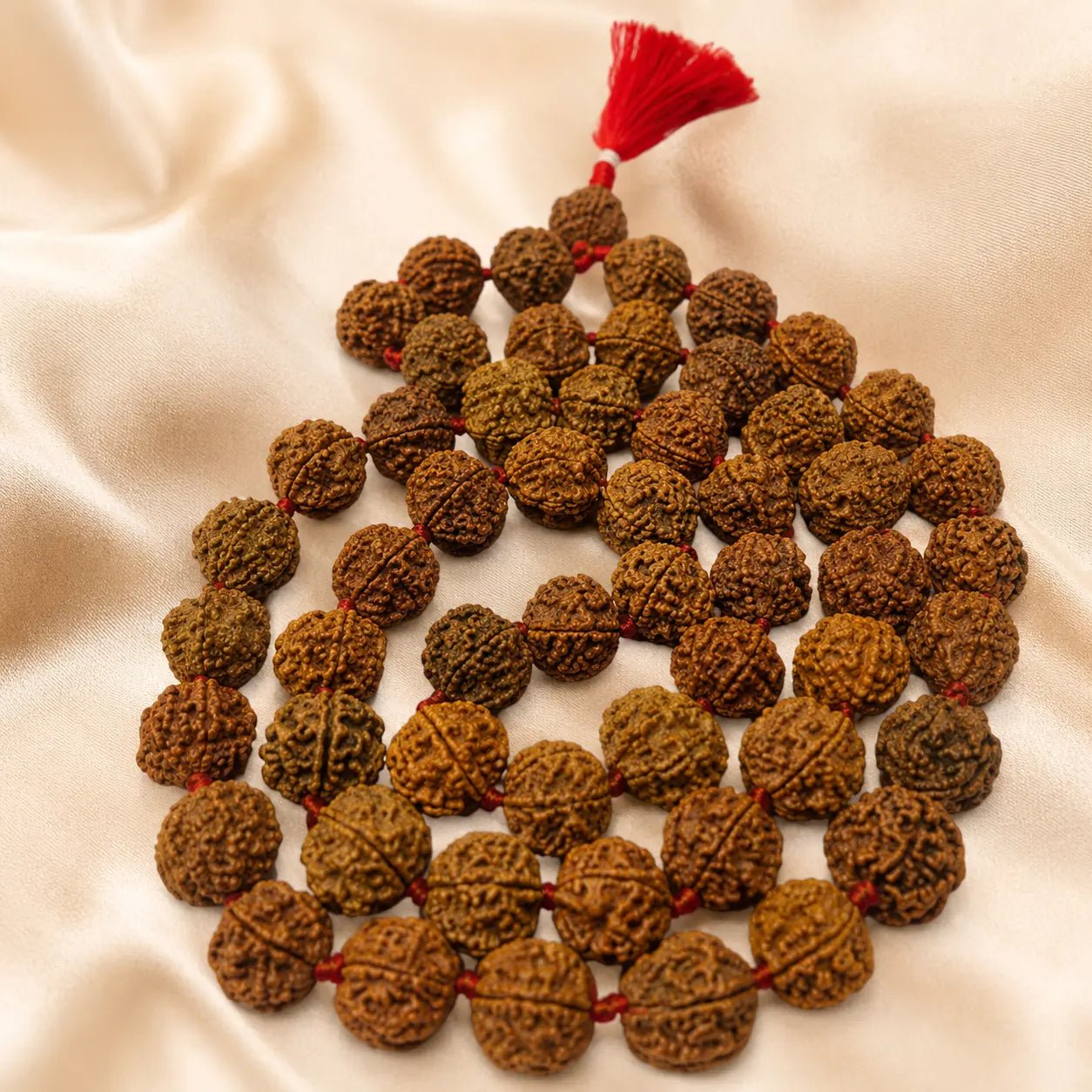 6 Mukhi Rudraksh Mala 54 Beads - Astrosaras