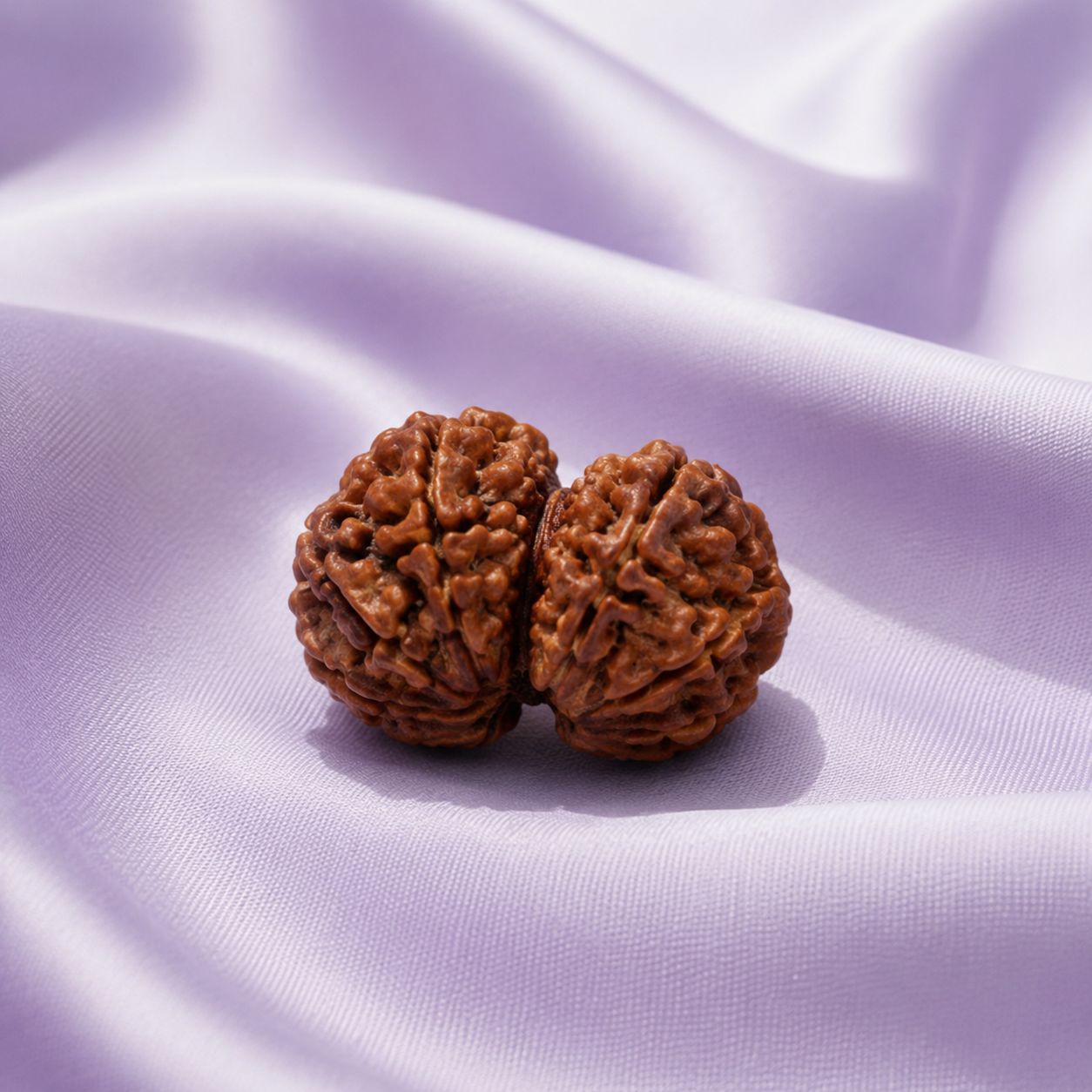 Gauri Shankar Rudraksha - sacred union of Shiva and Parvati